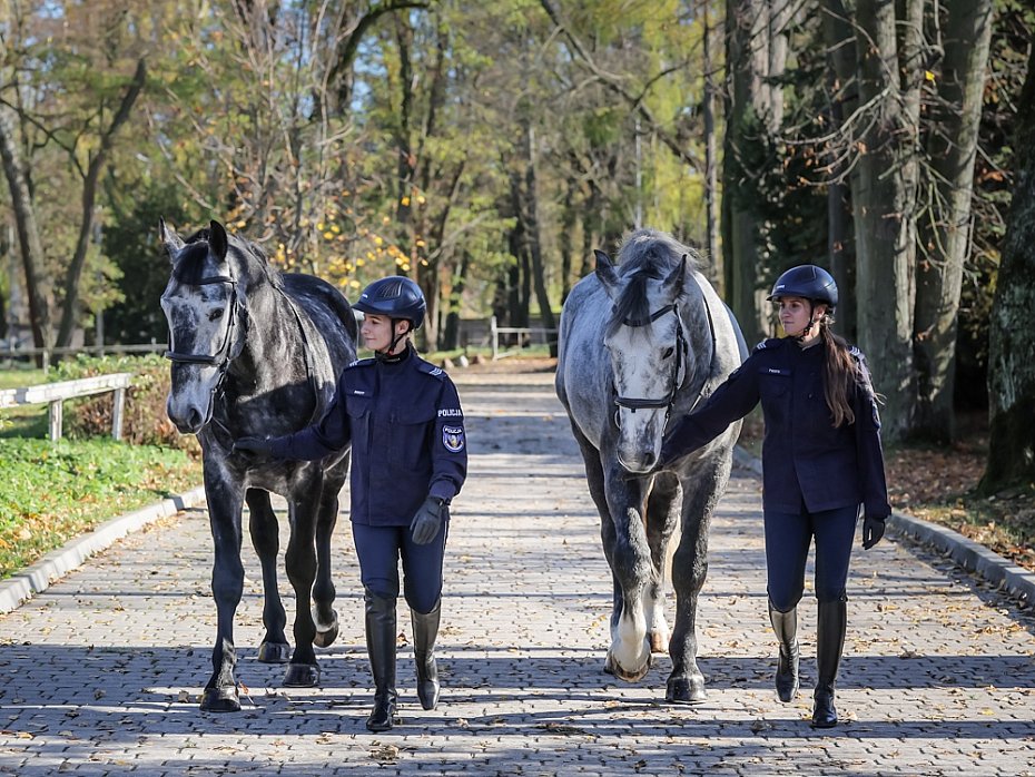 Patrole konne w Warszawie