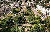 Drzewa na Żoliborzu są bardzo stare. Ekspertyzy określą ich stan