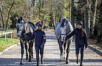 Patrole konne w Warszawie